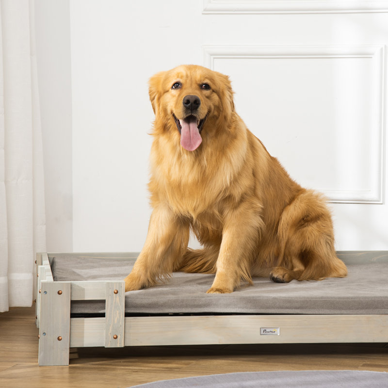 Large dog lounge best sale